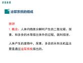 第5章 人体内废物的排出课件PPT
