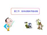 5.1.3 软体动物和节肢动物课件PPT
