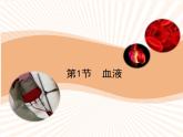 北师大版第九章《血液》课件