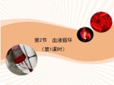北师大版《血液循环》讲授课件