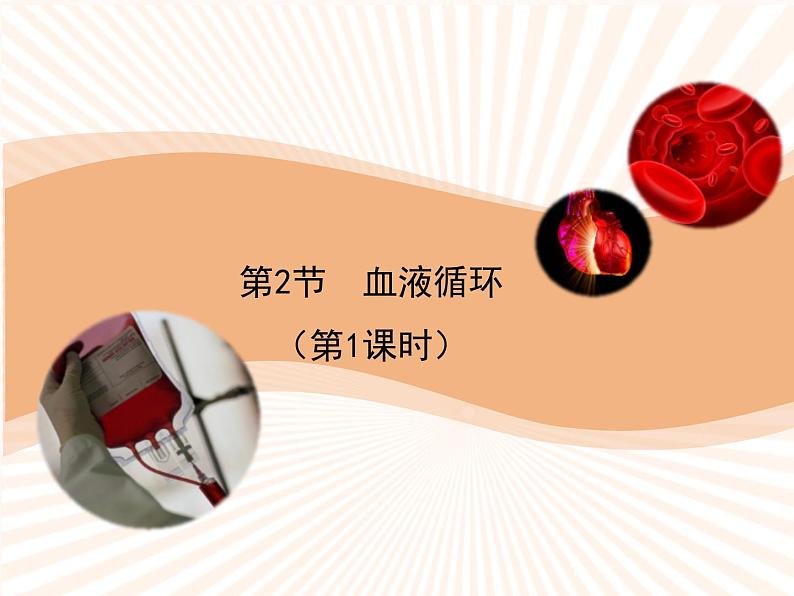 北师大版《血液循环》讲授课件01