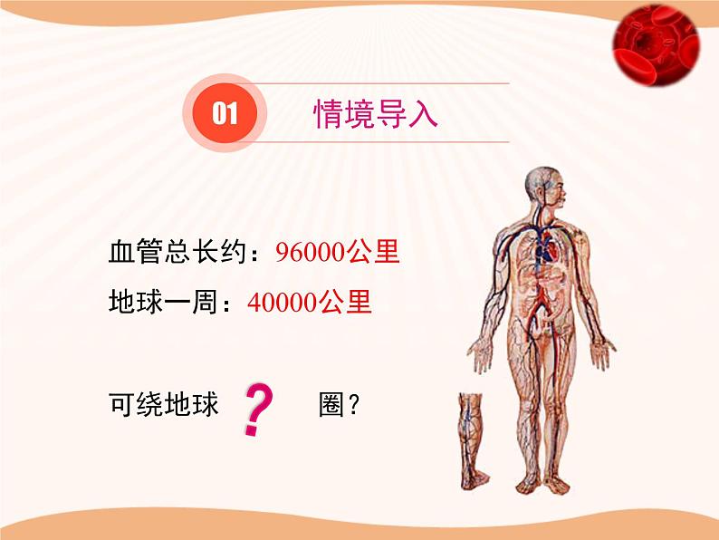 北师大版《血液循环》讲授课件02