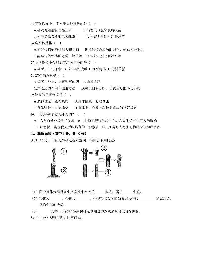 人教版八年级下册生物期末考试试卷及答案03