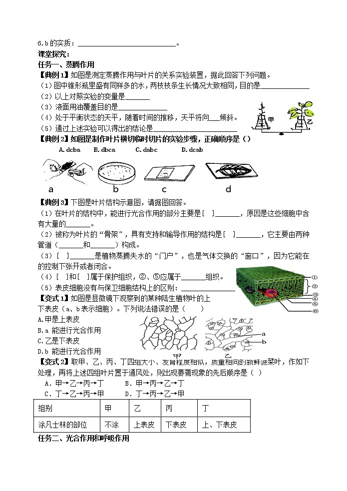 2022年人教版生物中考二轮复习学案——绿色植物的三大作用02
