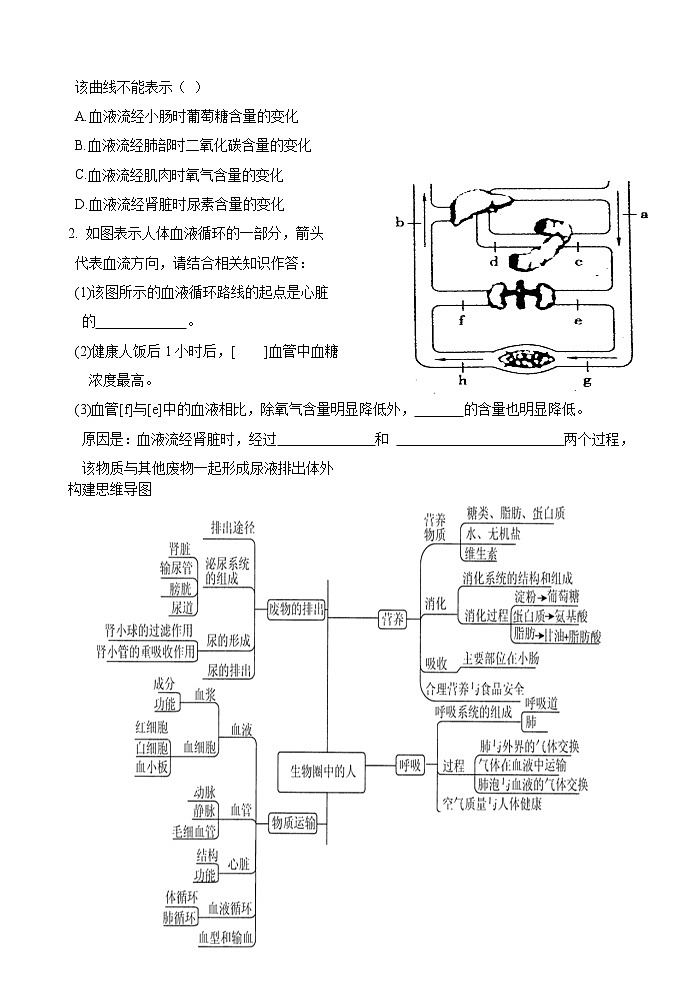 2022年人教版生物中考二轮复习导学案——人体四大系统第3页