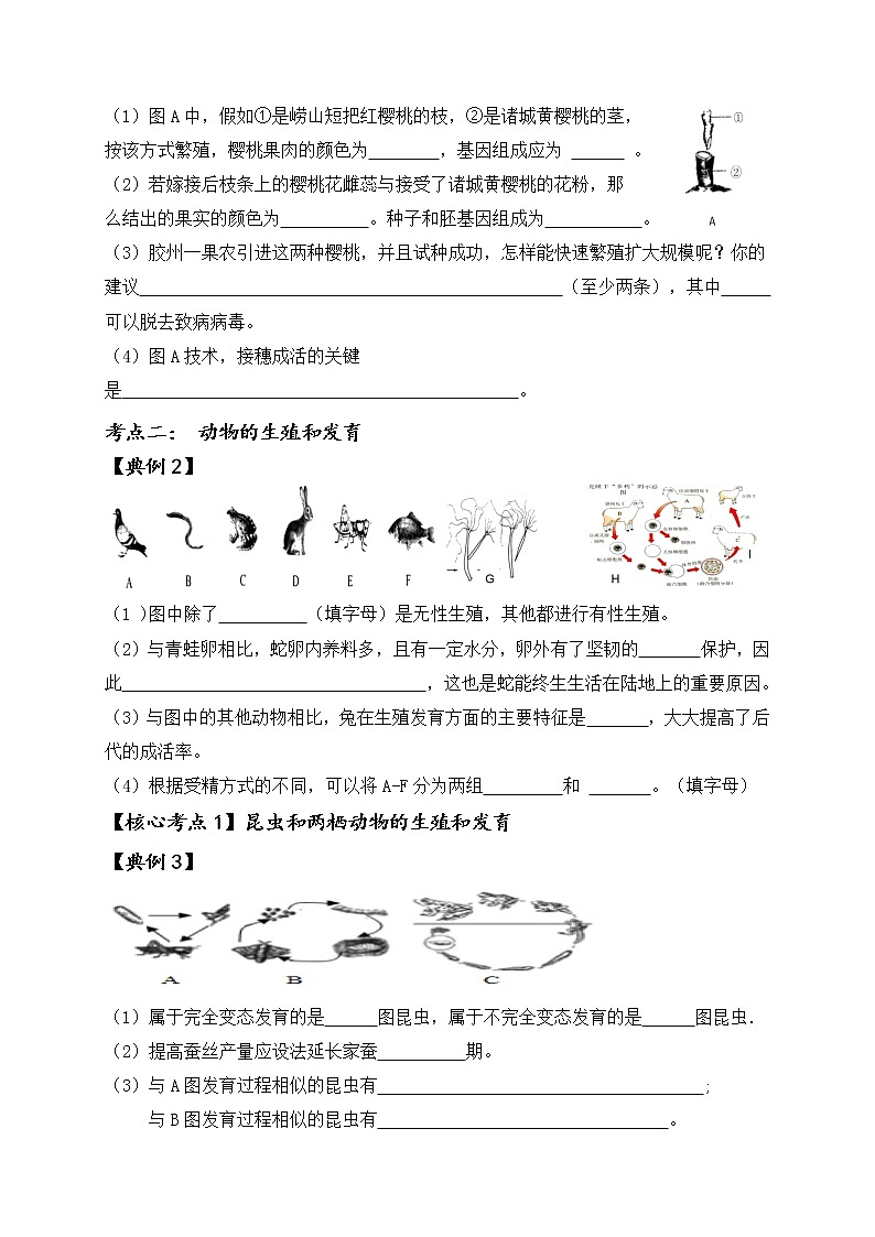 2022年人教版生物中考二轮复习导学案：专题十生物的生殖与发育第2页