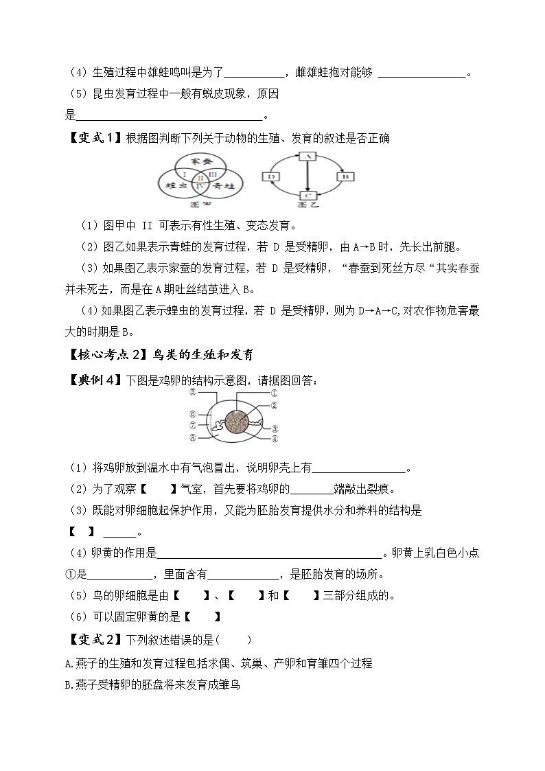 2022年人教版生物中考二轮复习导学案：专题十生物的生殖与发育第3页