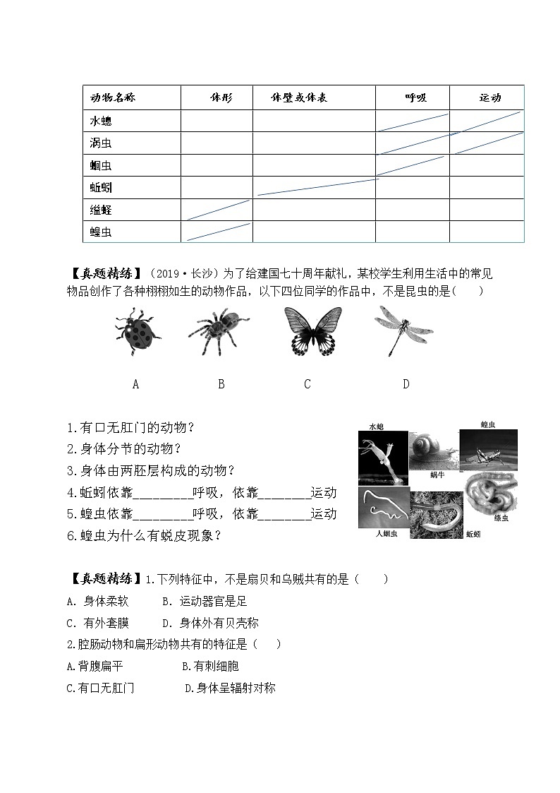 2022年人教版生物中考二轮复习学案-专题七动物的多样性及其保护第2页