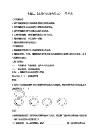 2022年人教版生物中考二轮复习学案--专题二生物体的结构层次