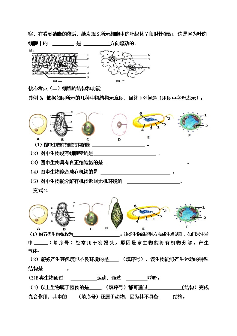 2022年人教版生物中考二轮复习学案--专题二生物体的结构层次第2页