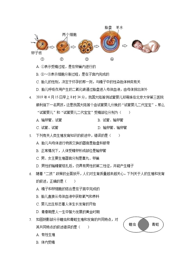 2022中考三轮复习考点预测---生物的生殖和发育03