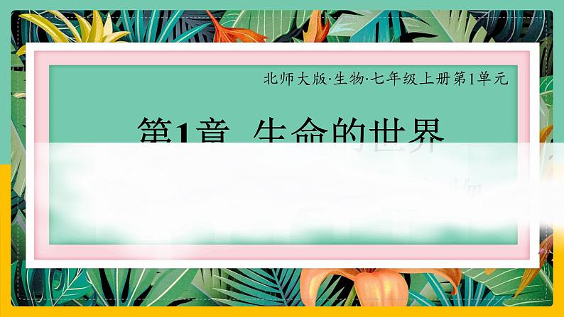 1.1《形形色色的生物》课件PPT+教案+同步练习01