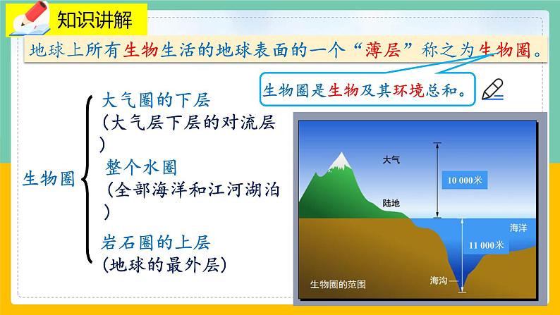 1.1《形形色色的生物》课件PPT+教案+同步练习04