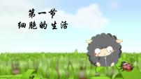 初中人教版 (新课标)第四节  细胞的生活教学课件ppt