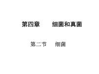 2021学年第二节   细菌课文内容ppt课件