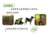 6.1.2从种到界课件PPT