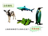 6.1.2从种到界课件PPT