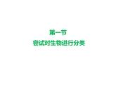 6.1.1尝试对生物进行分类课件PPT