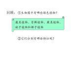 6.1.1尝试对生物进行分类课件PPT
