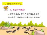 5.2.3社会行为课件PPT