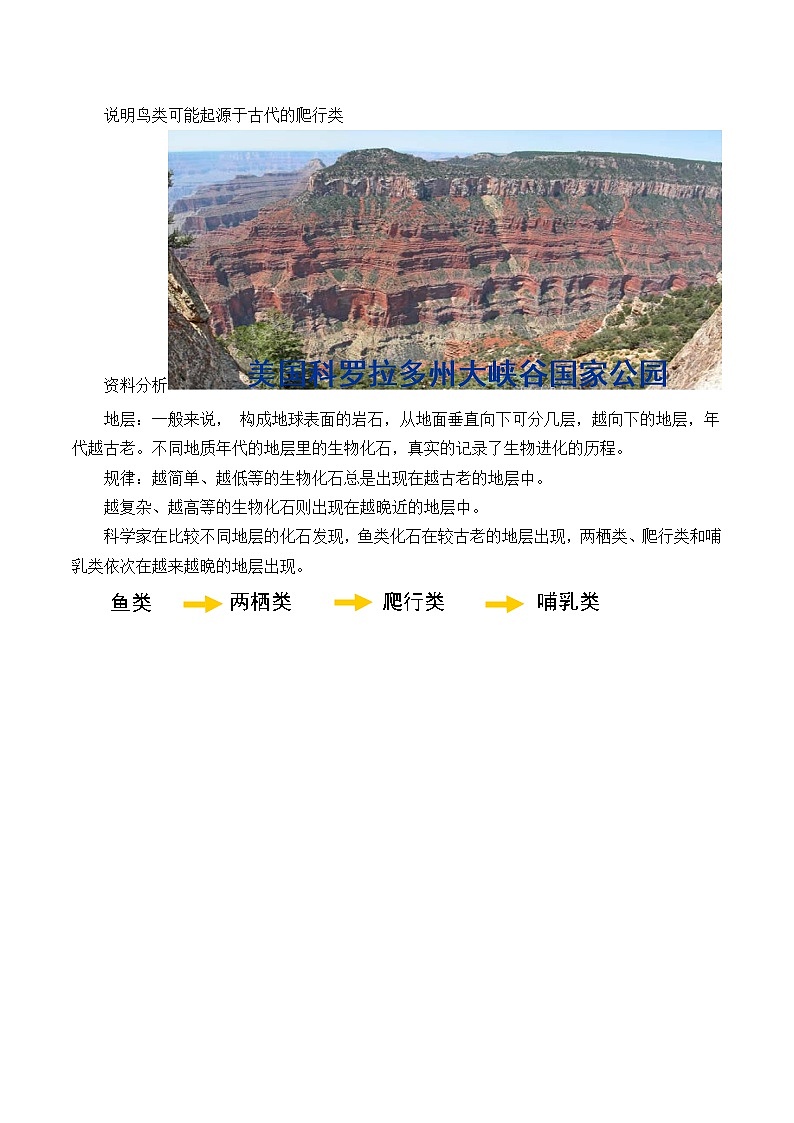 苏教版八年级生物上册 16.2生物进化的历程_ 教案02
