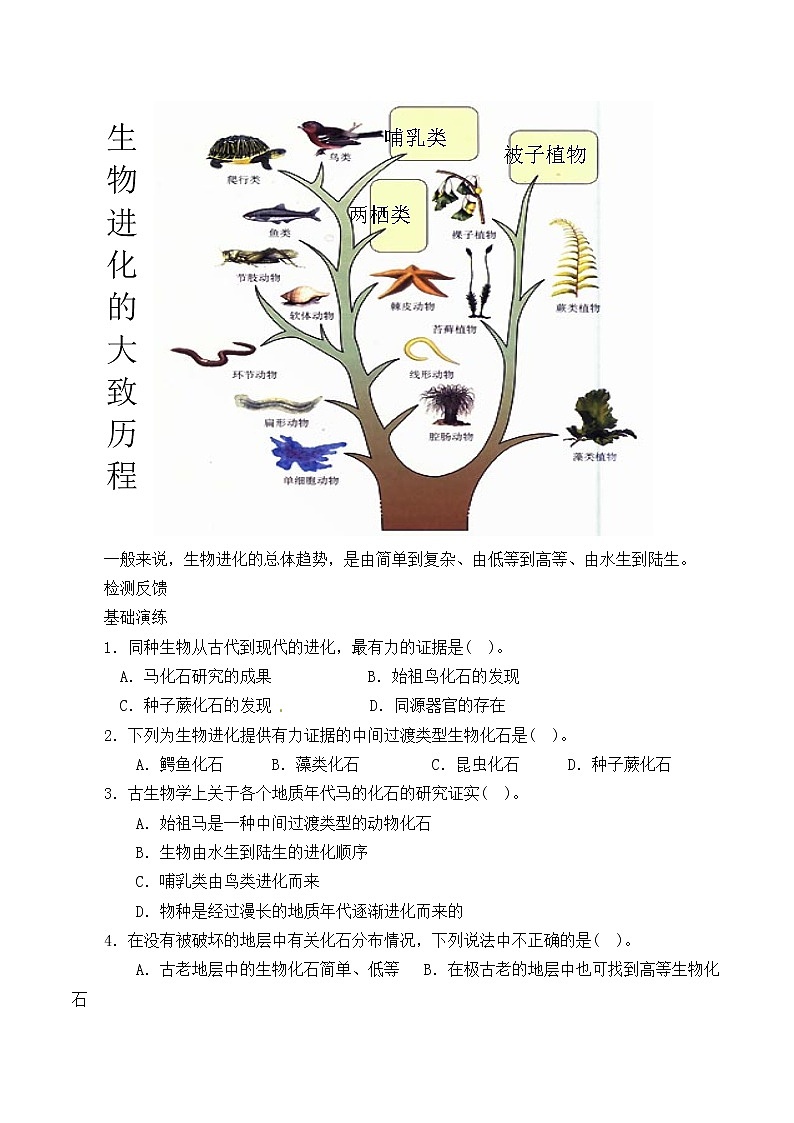 苏教版八年级生物上册 16.2生物进化的历程_ 教案03