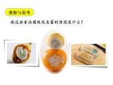 5.4.4细菌和真菌在自然界中的作用课件PPT