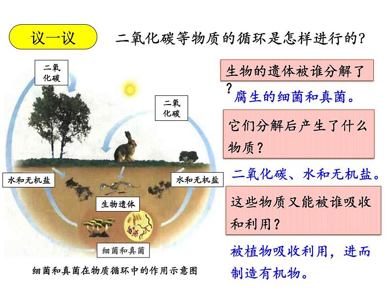 5.4.4细菌和真菌在自然界中的作用课件PPT08