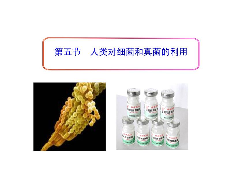 5.4.5 人类对细菌和真菌的利用课件PPT01