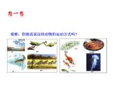 5.2.1 动物的运动课件PPT