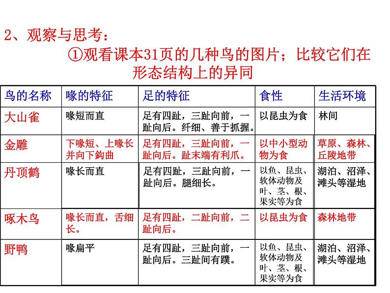 5.1.6 鸟课件PPT第6页