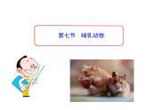 5.1.7 哺乳动物课件PPT