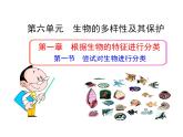 6.1.1 尝试对生物进行分类课件PPT
