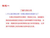 6.1.1 尝试对生物进行分类课件PPT
