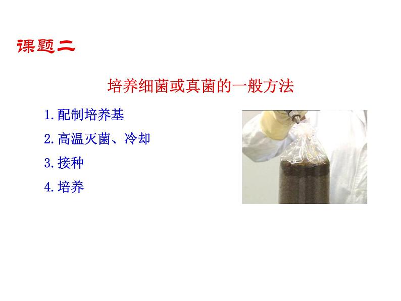 5.4.1 细菌和真菌的分布课件PPT第8页