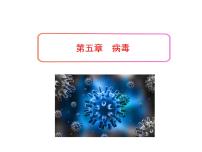 初中生物人教版 (新课标)八年级上册第五章  病毒图文ppt课件