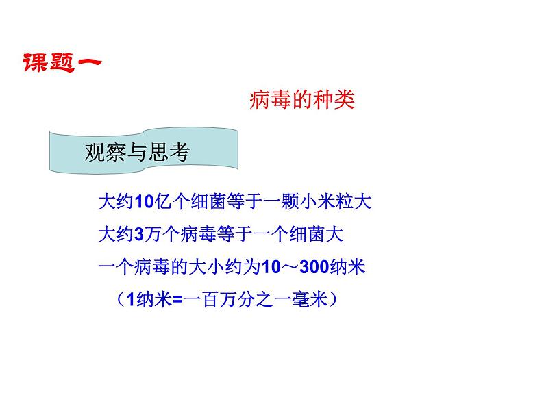 5.5 病毒课件PPT第3页