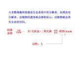 5.4.4 细菌和真菌在自然界中的作用课件PPT