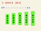 苏教版八年级生物上册 14.4  生物的分类(9) 课件