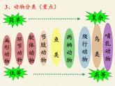 苏教版八年级生物上册 14.4  生物的分类(9) 课件