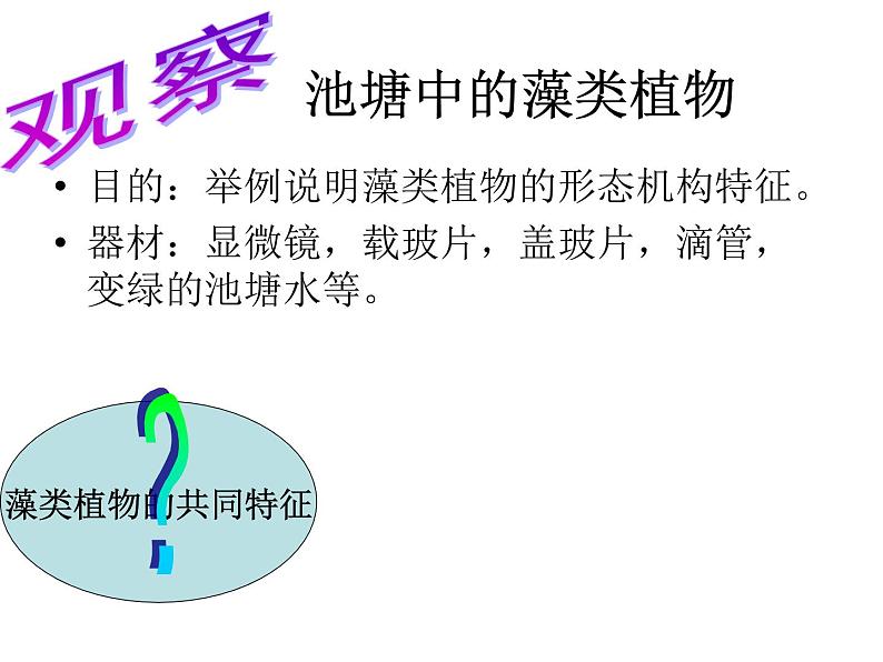 苏教版八年级生物上册 14.1 五彩缤纷的植物世界_ 课件第3页