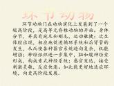 苏教版八年级生物上册 14.2  千姿百态的动物世界 课件