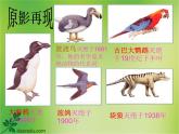 苏教版八年级生物上册 15.2 保护生物多样性的艰巨使命 课件