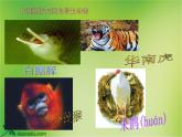 苏教版八年级生物上册 15.2 保护生物多样性的艰巨使命 课件