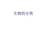 蘇教版八年級生物上冊 14.4 生物的分類_ 課件
