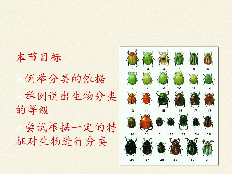 苏教版八年级生物上册 14.4  生物的分类(8) 课件第2页