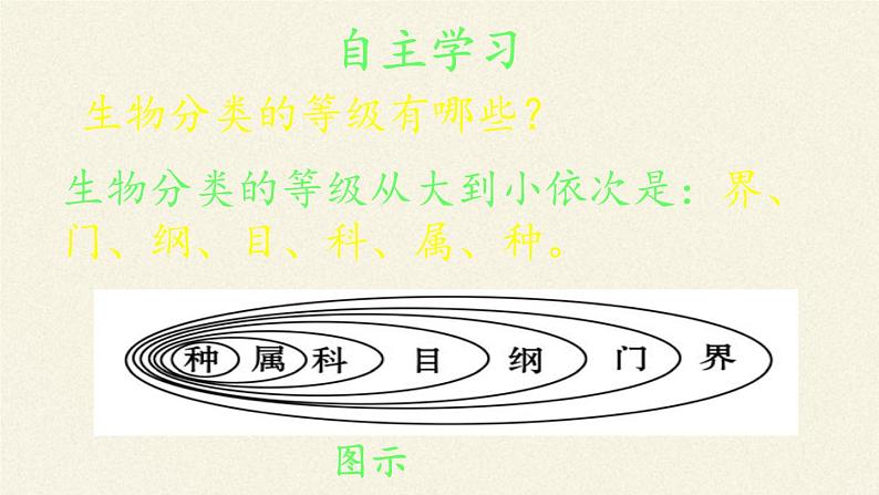 苏教版八年级生物上册 14.4  生物的分类(11) 课件第7页