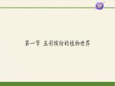 苏教版八年级生物上册 14.1  五彩缤纷的植物世界 课件