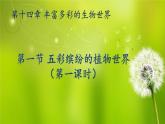 苏教版八年级生物上册 14.1  五彩缤纷的植物世界 课件