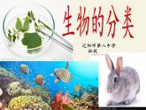 苏教版八年级生物上册 14.4  生物的分类(10) 课件